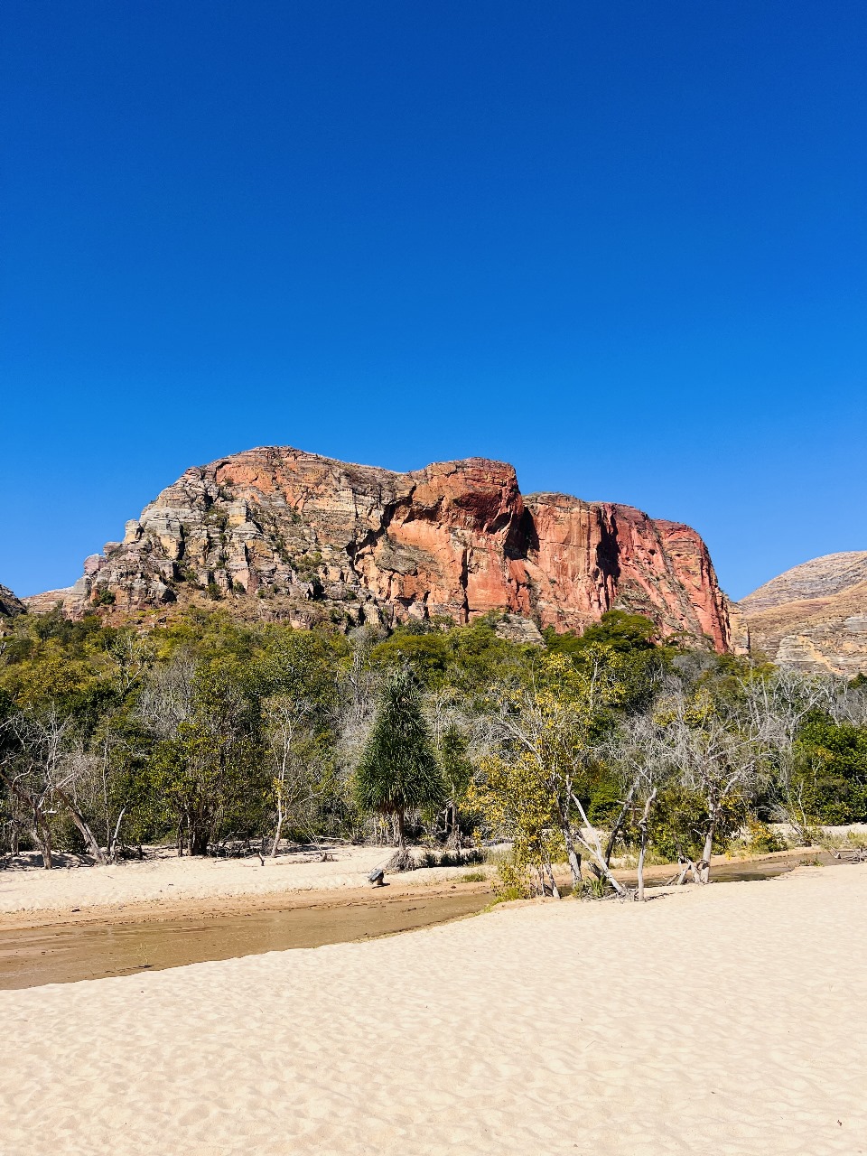 Voyageurs participants