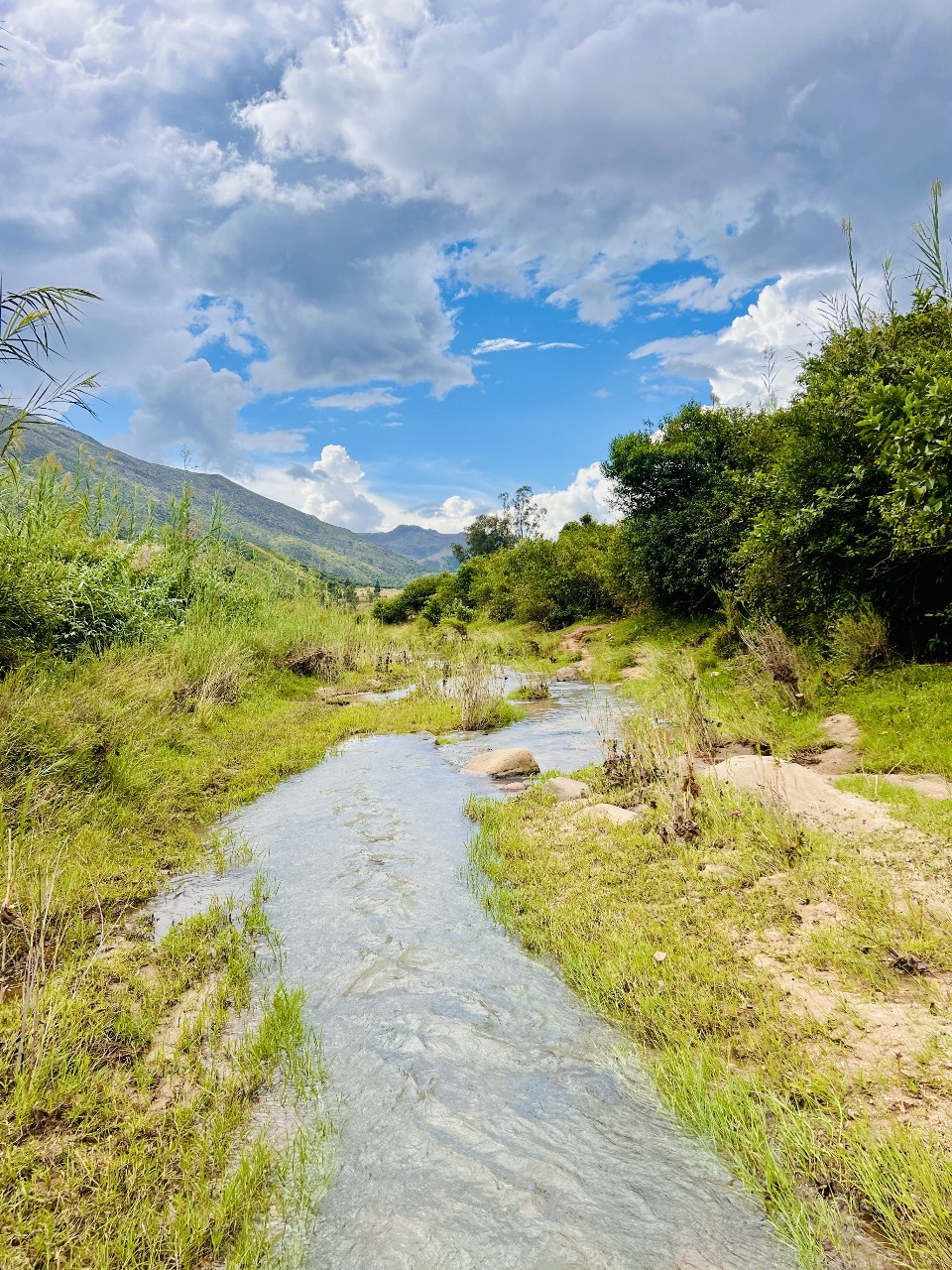 Projet communautaire